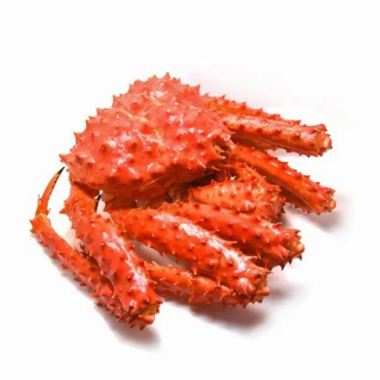 Hot Sale Of Fresh Deep Sea Crab Chilean Best Quality Baby King Crab Antarctica snow Crab At Cheap Price