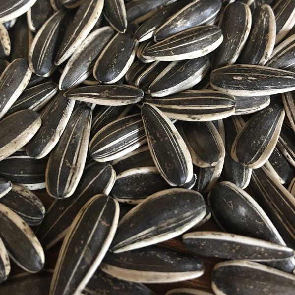  Certified Sunflower Seed Kernels Bakery Grade In