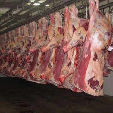 Fresh Halal Buffalo Boneless Meat/ Frozen Beef Available For sale