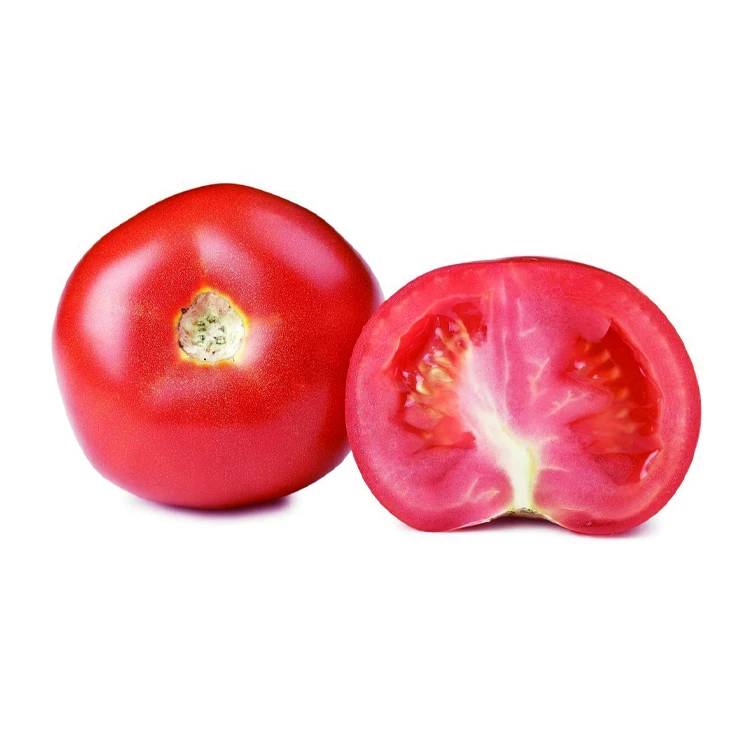Wholesale Fresh Tomatoes at good price