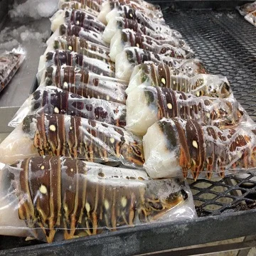  Fresh and frozen Lobster - Live