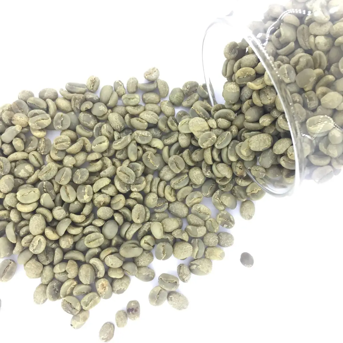 Customized Packing ISO Certification High Quality Tasteful Arabica Coffee Beans from Cau Dat Vietnam