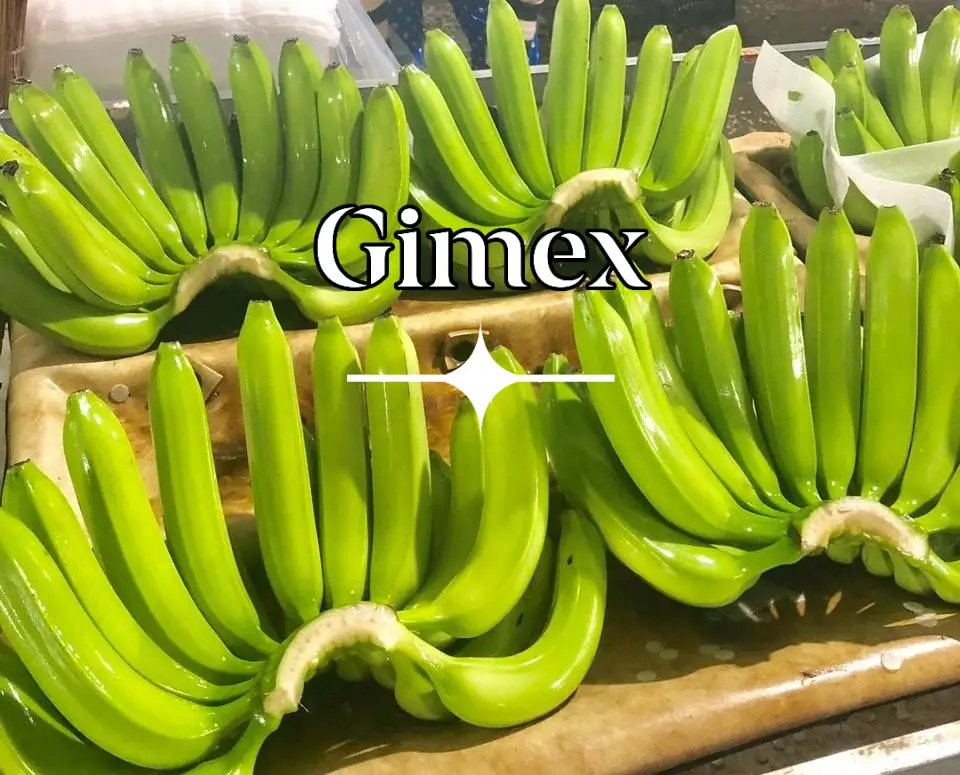 Best Product Vietnam Cavendish Bananas high quality