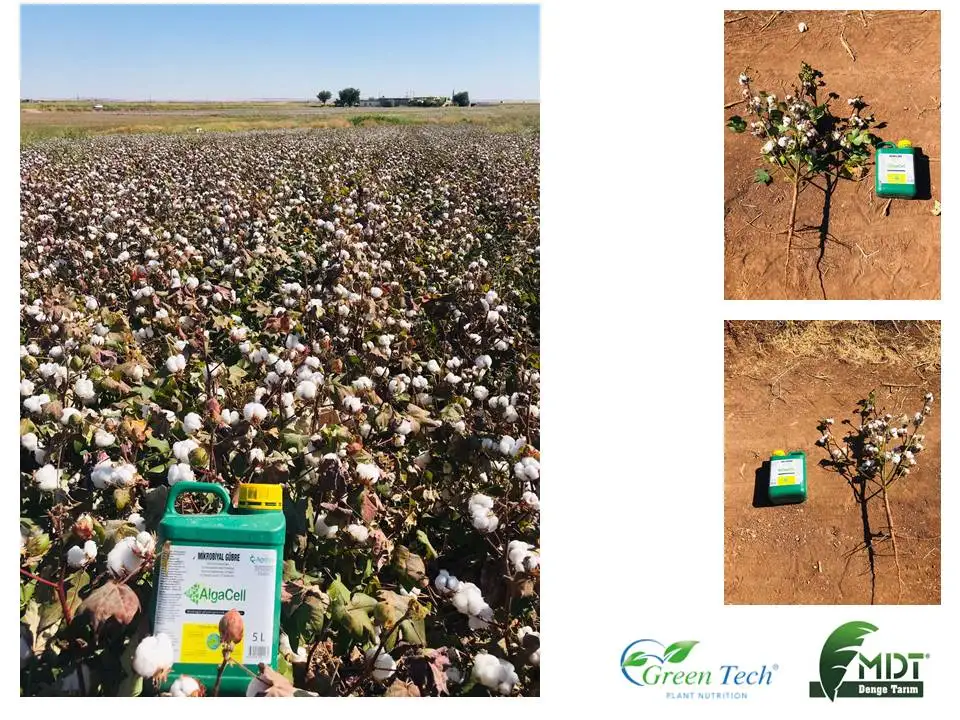 Green Tech Green Cap - Organic Nematicide -Plant Protection Producr - Organic Fertilizer