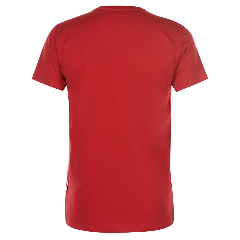 Wholesale Cotton Men Custom T Shirt 100% Cotton Custom Logo Printing Plain T-Shirts