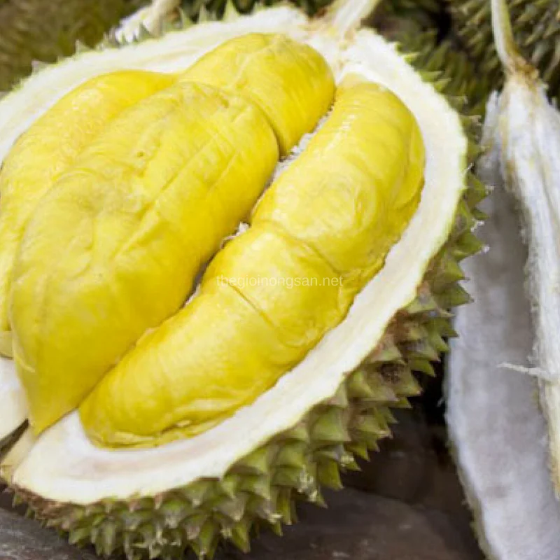 Оптовая цена-Премиум MONTHONG DURIAN урожая из Вьетнама/мисс Триш + 84 984 696 874