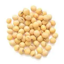 Soybean Wholesale Roasted Salty Soybean Non- Gmo Yellow Soybean