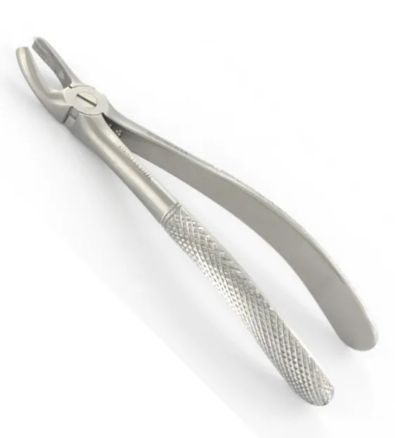 Dental Surgery English Pattern Orthodontic Tooth Extraction Forceps  Fig 29 Upper Jaw Roots Length 17.5 Cm Stainless Steel ISO