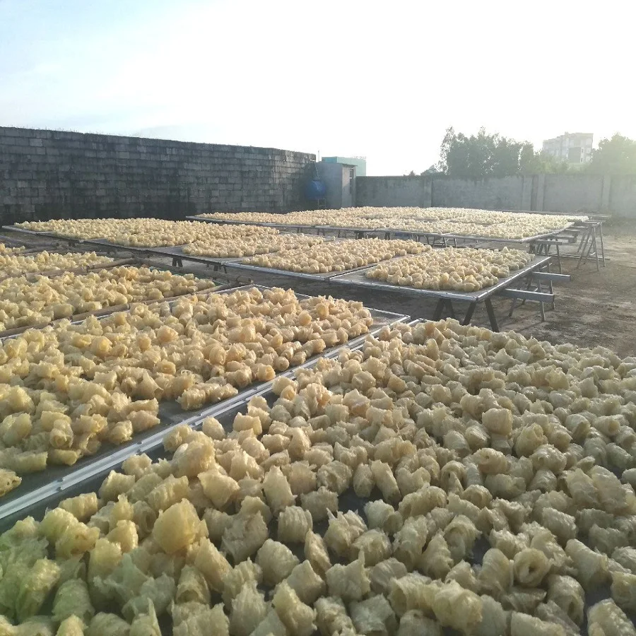 Bulk Sun-Dried Fish Piece from Vietnam Fish Fillet with HACCP Certification and 24 Months Shelf Life