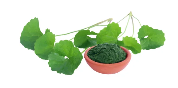 (Organic) Centella Asiatica Powder (1,000 gram) Thai Herbal Extract - custom size package & design (Product of Thailand)