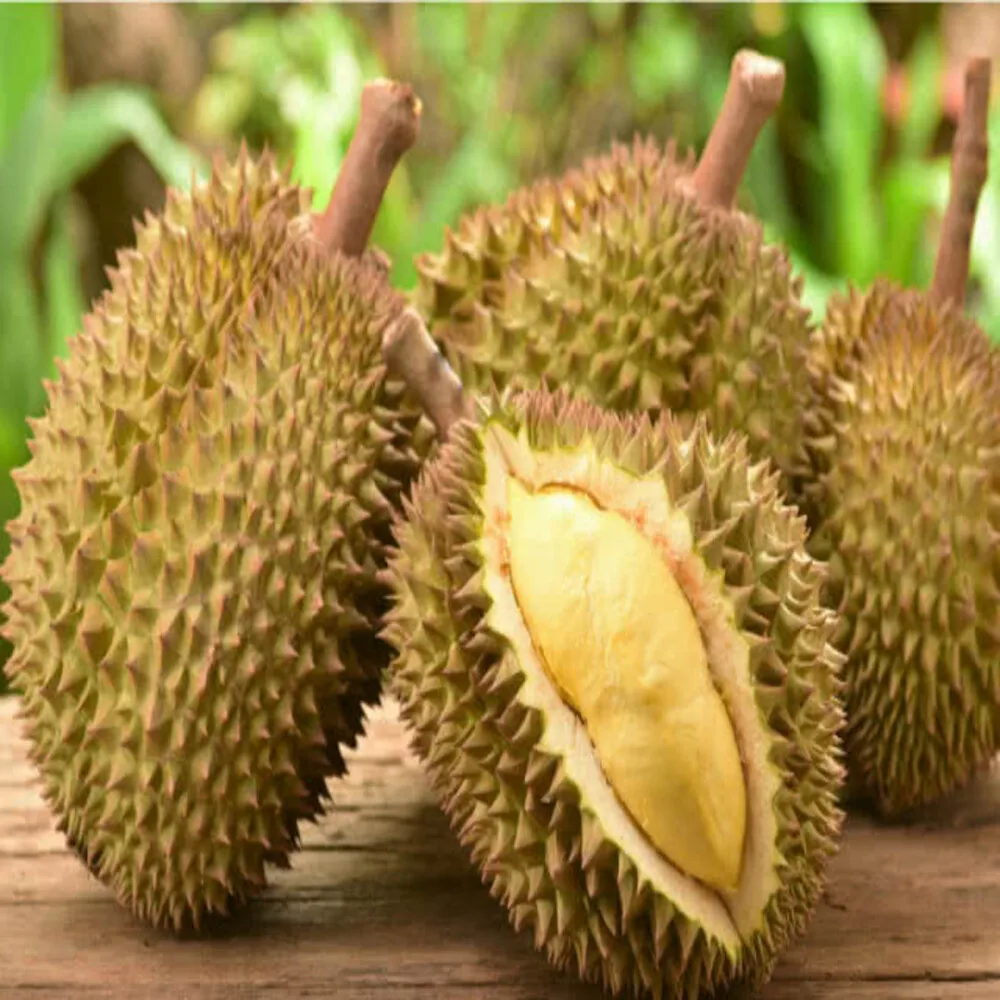 
Premium Monthong from Thailand Durian Fresh Fruit With High Quality 