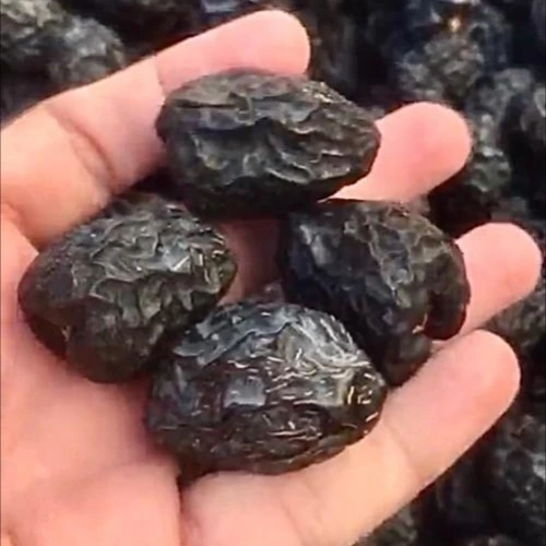 Ajwa black dates fresh harvest cheap and good quality from Saudi Arabia from leading exporter of dates