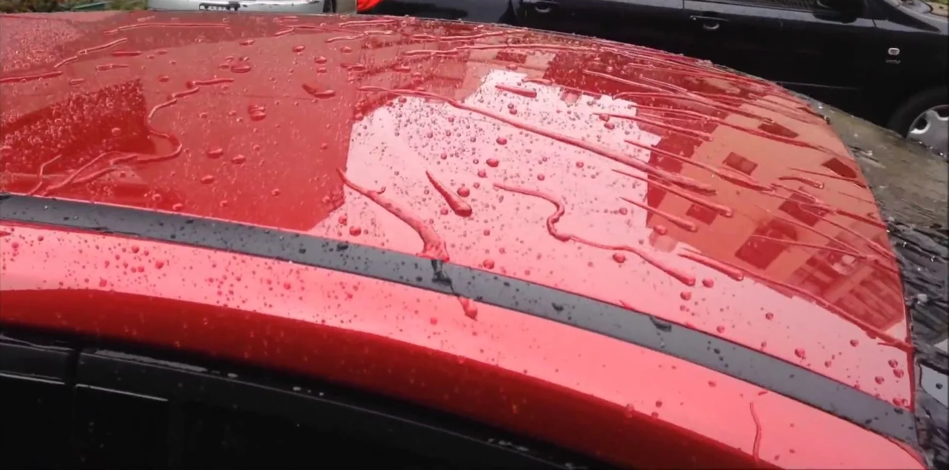 88% Carnauba Car Wax OEM