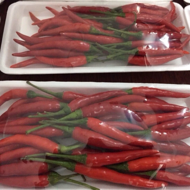 FRESH CHILLI/RED CHILLI/GREEN CHILLI - BEST PRICE  HIGH QUALITY