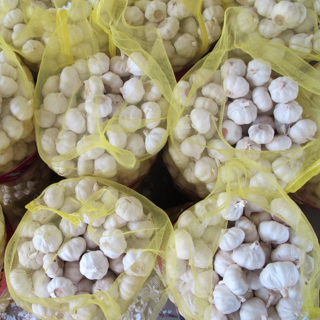 Fresh garlic new season 2022 brazilian fresh cheap price wholesale