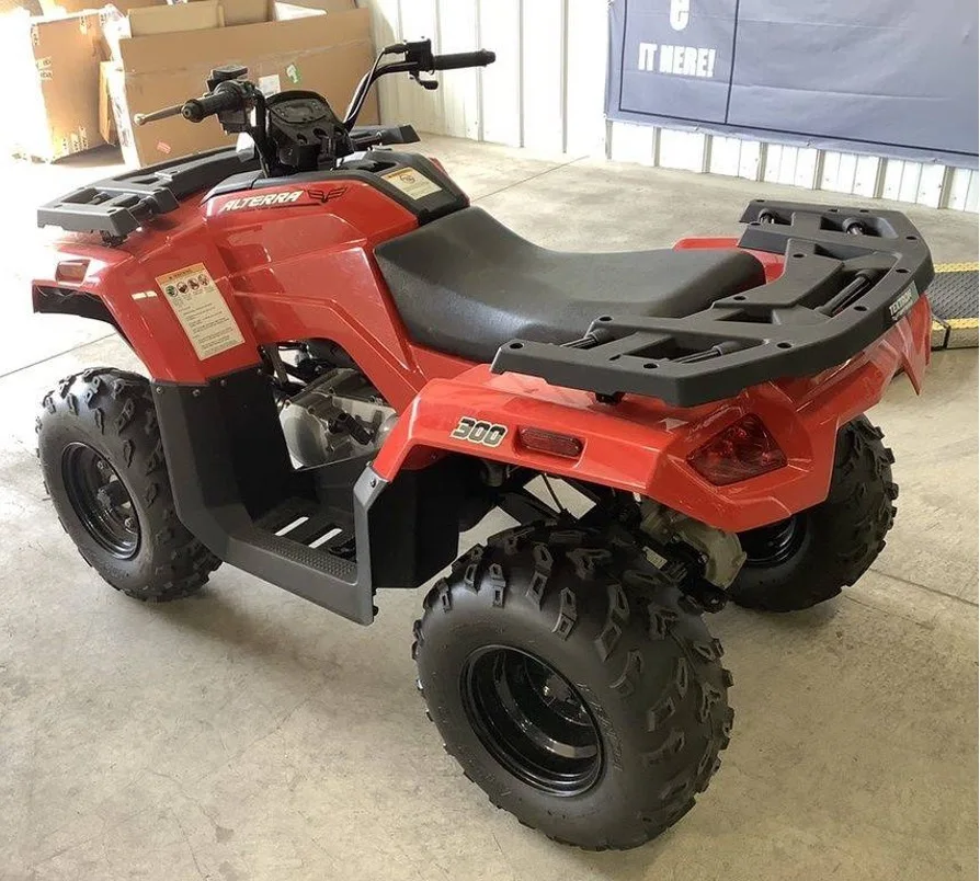 Clean ATV 2019 для продажи! Изготовлен работы и долгого дня на тропе/модели автоматический/протестированный гарантированный