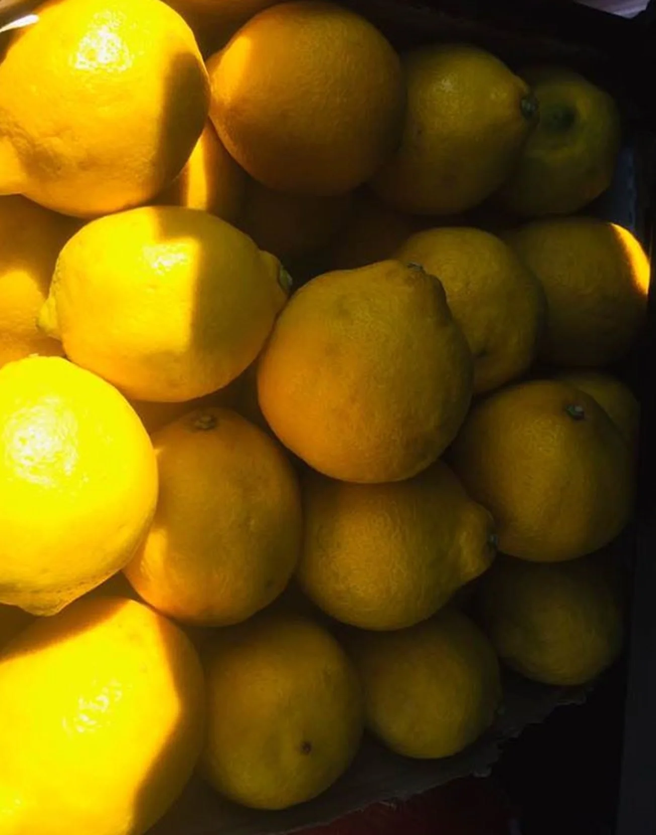 Свежие бессеменные ювричные желтые лимоны класса 1 сочные без семян