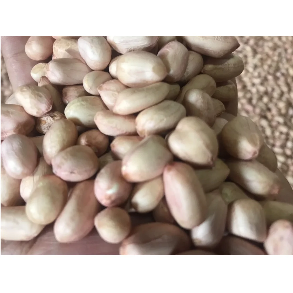 Wholesale Price Crop 2021 Light Pink Delicious Fresh Raw Peanuts With Vacuum Packing Bags From Vietnam Manufacturer