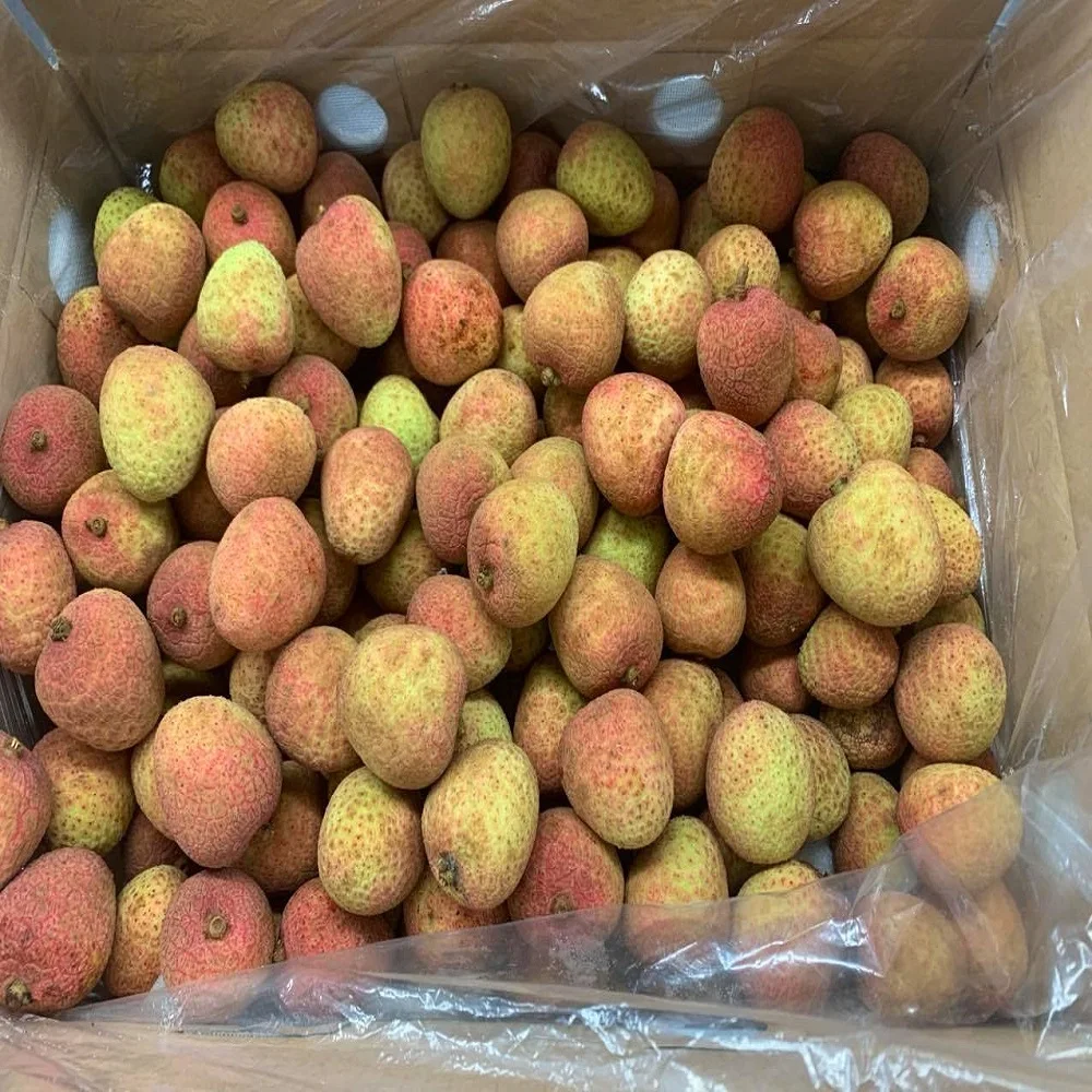 Egyptian Fresh Yellow TW6 Brand Natural Green 2 Months Maturity A Grade ISO, HACCP Certificate Fresh Thieu Lychee From Vietnam