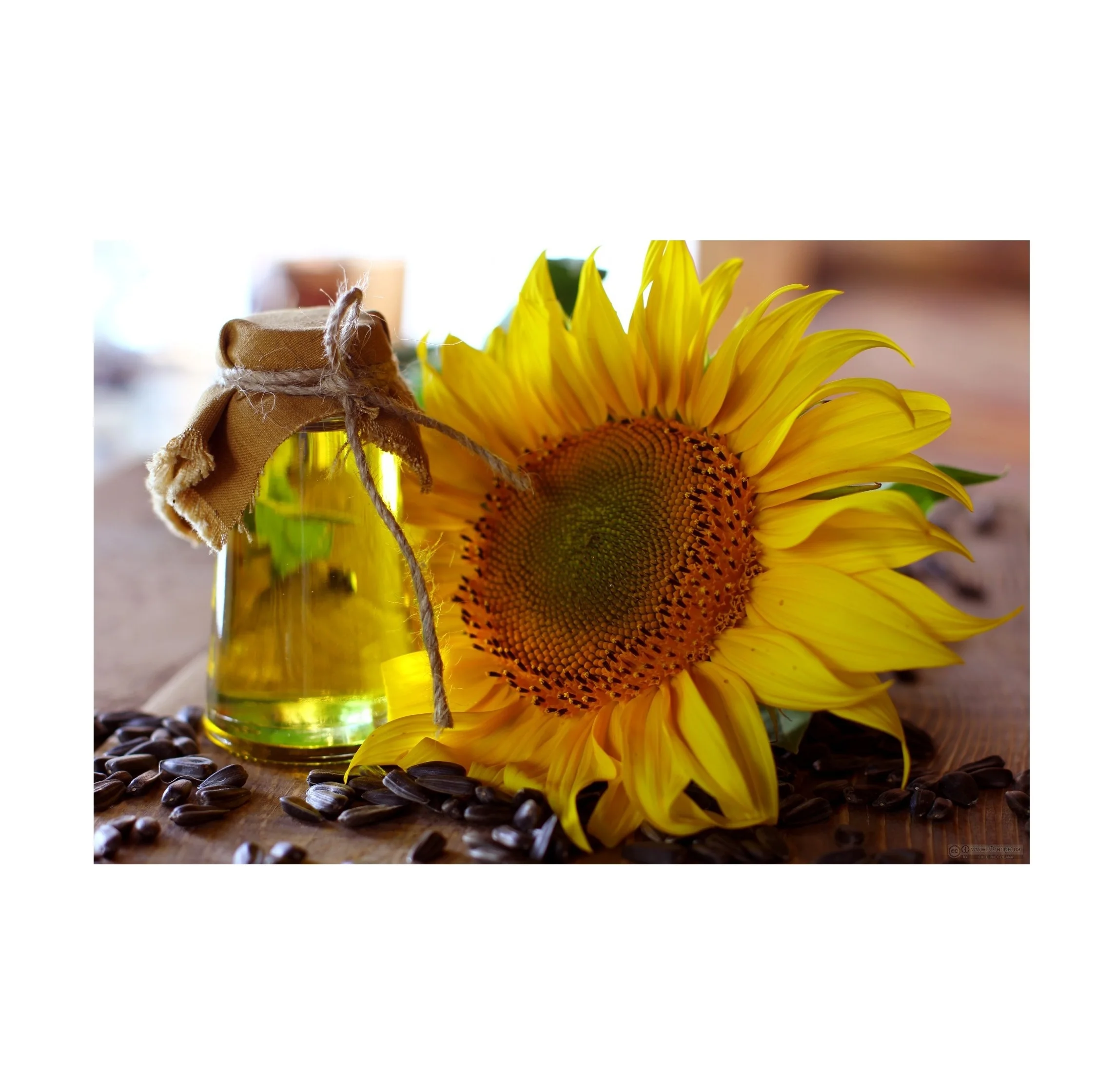 Best Price Refined Sunflower Oil Available In Bulk
