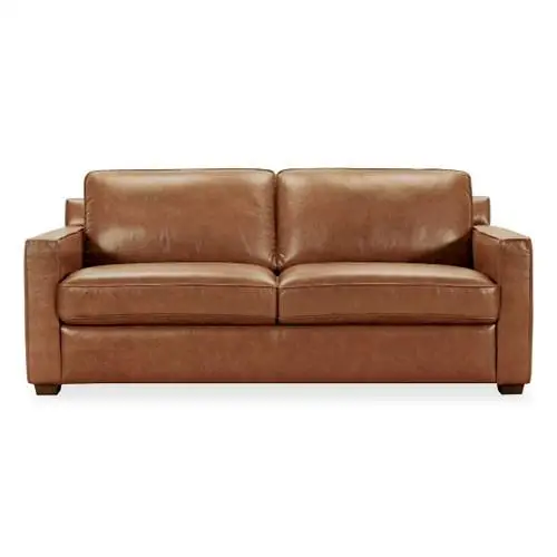 Living room leather sofa