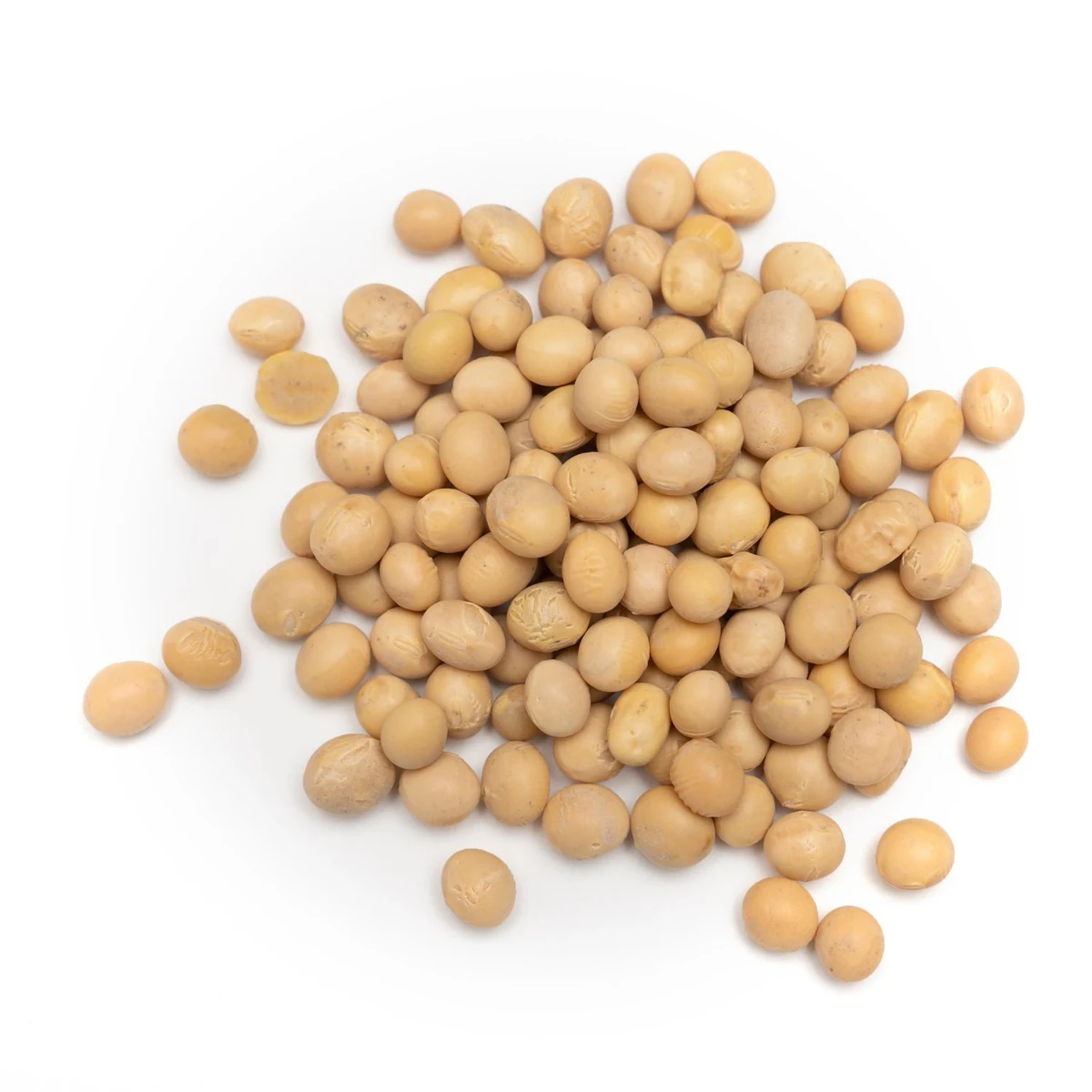 High Quality Soybeans For Sale