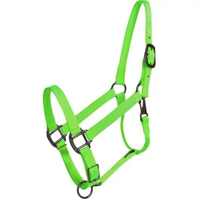 Durable Nylon Horse Halter Hardware Buckles Horse Head Collars Customized Leather Horse Halters with Brass and Steel PVC Webbing