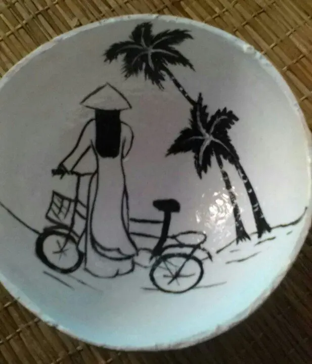 Вьетнамская цветная Кокосовая чаша, экологически чистый кокос/горячая распродажа, Кокосовая Лаковая чаша для продажи/лакированная Кокосовая посуда