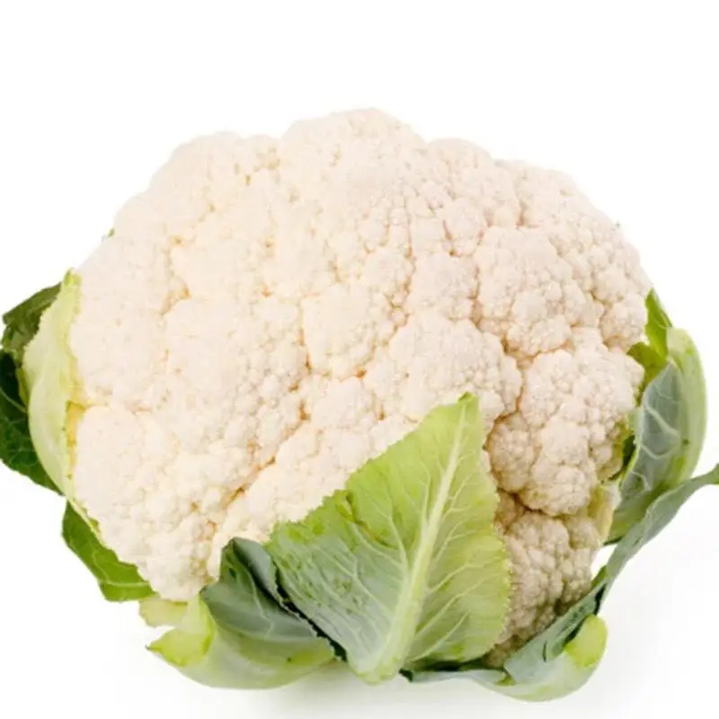 Fresh vegetable cauliflower and frozen cauliflower fresh