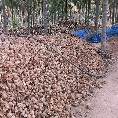 Coco Peat/Coco Peat without Chemical Materials