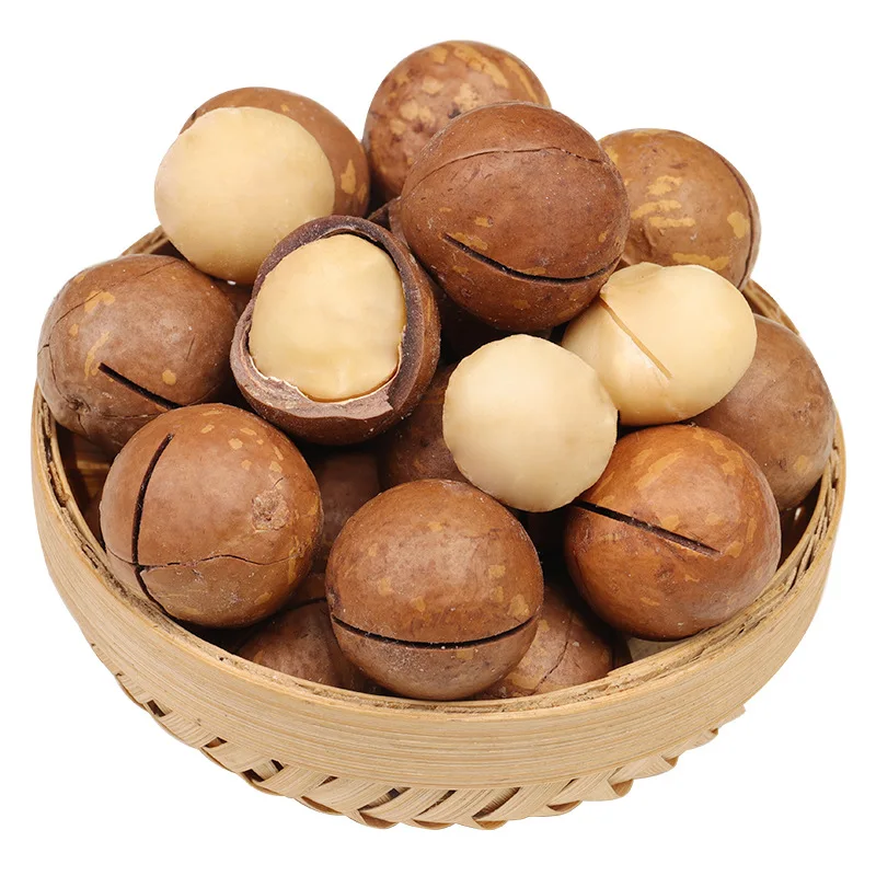 Macadamia sweetness and creamy texture Supplier /Fresh Wholesale maca Without a shell