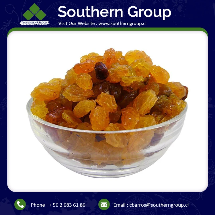 
High Quality Best Seller Factory Price Wholesale Golden Raisins for Sale 