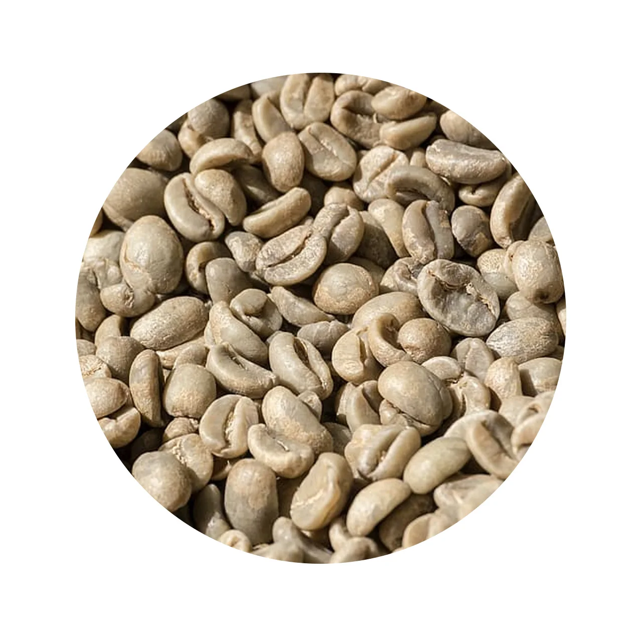 Экспортная продукция, кофе с цельными зернами, КОФЕ Robusta, производство кофейных зерен, специальная продукция кофе из Вьетнама