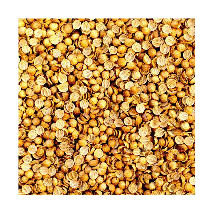 Лучший индийский поставщик семян кориандра сортекса по лучшей цене