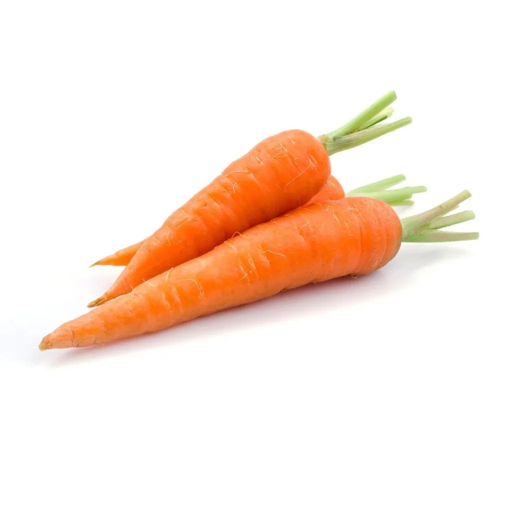 
Premium Organic New Crop Super Size None Peeled Fresh Carrot Low Price From Vietnam Wholesaler 