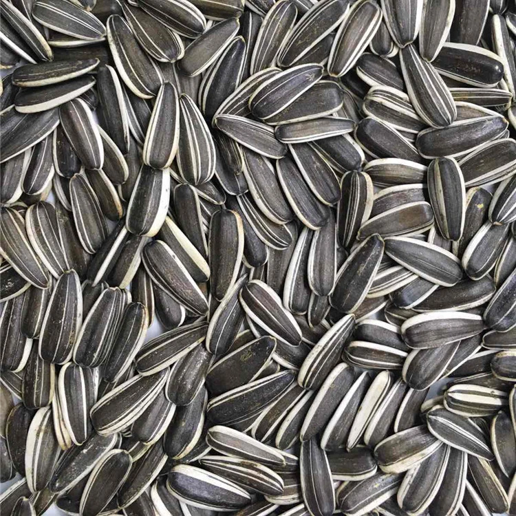 Sunflower Seeds and Kernels, Top Supplier, Good Service,Microgreen non gmo