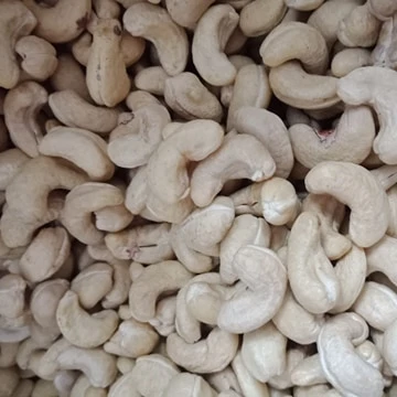 Whole Sale Price Cashew Nuts W320 W240 From Vietnam High Quality Delicious Taste