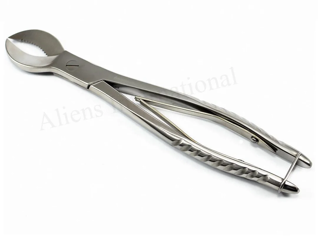 Top Value Stainless-Steel-Forceps-Instrument Gypsum Dental-Plaster-Shears-Scissiors-Dentist-Lab-Tools