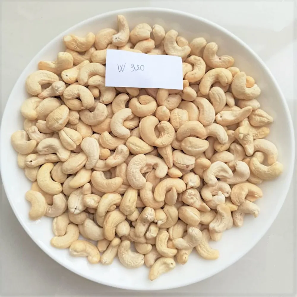 Wholesale High Quality Cashew Nuts W320 from Qualified Company Vietnam Premium Cashew Nut Products In Bulk Cashew Nut Raw