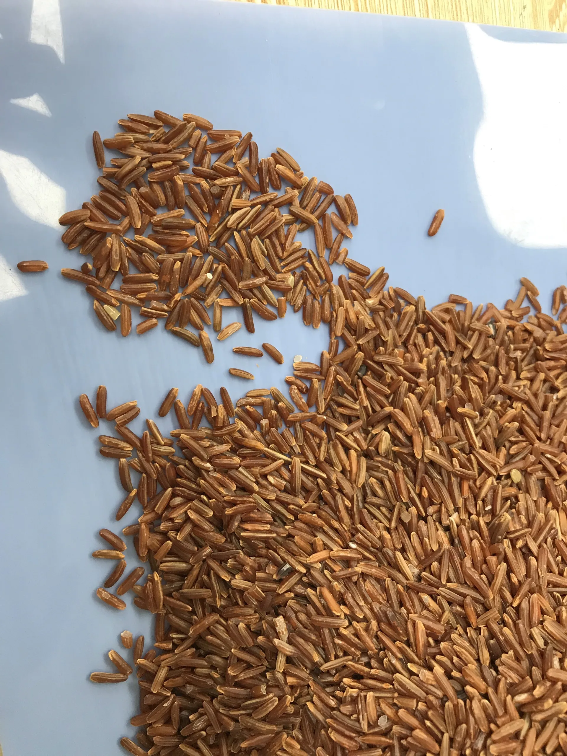 Top Quality New Product Export Large Quantity Five Percent Broken No Admixture Long Grain Red Vietnam Rice