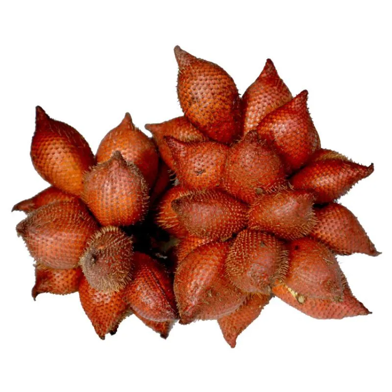 Best seller Fresh Salak Premium grade from Thailand by SP Organic International