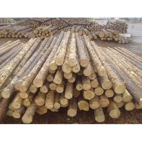 Quality Hardwood Log Ebony wood log Teak Wood - Round Logs / Pine logs / Eucalyptus Logs