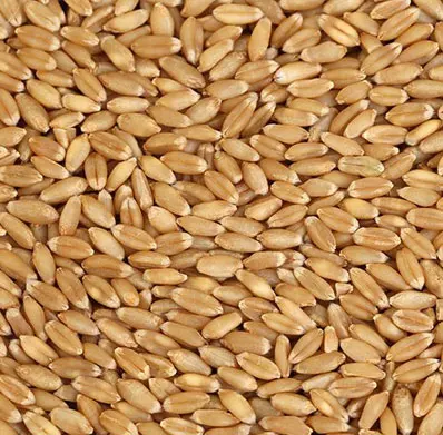 Пшеница BULGUR для индейки