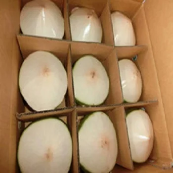 
FRESH YOUNG COCONUT DIAMOND SHAPE HIGH QUALITY BEST PRICE FROM VIKAFOODS (WhatsApp/Wechat: + 84 983 028 718) 