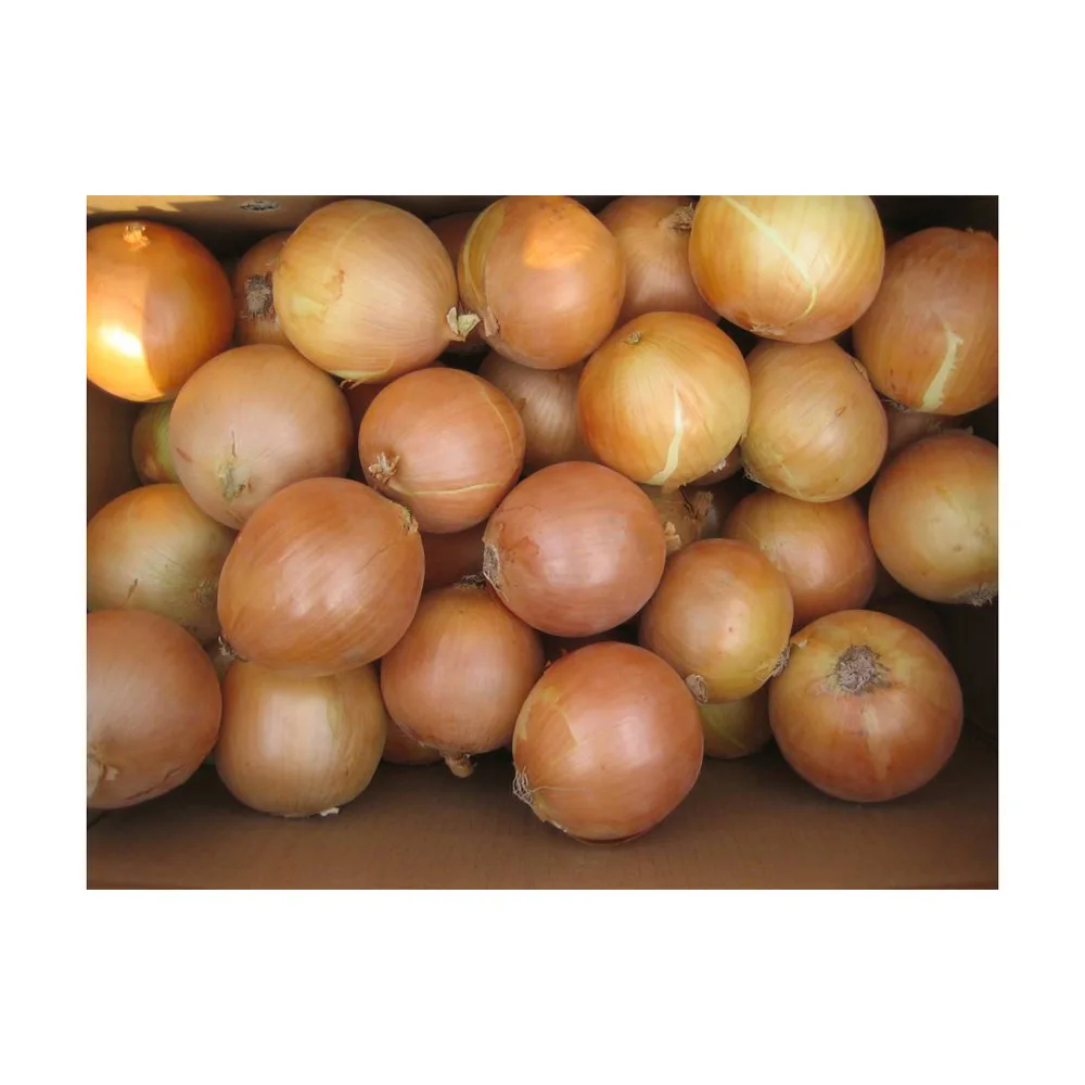 
Quality fresh onions in bulk, fresh onions 