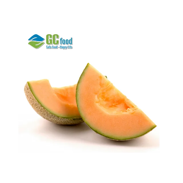 Sweet Taste Cantaloupe melon fruit - Cantaloupe seed  with best price  from GC Food Company