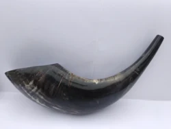 Natural Rams Horn Shofar / Sheep Horn Shofar / Natural none polished high qulity shofar