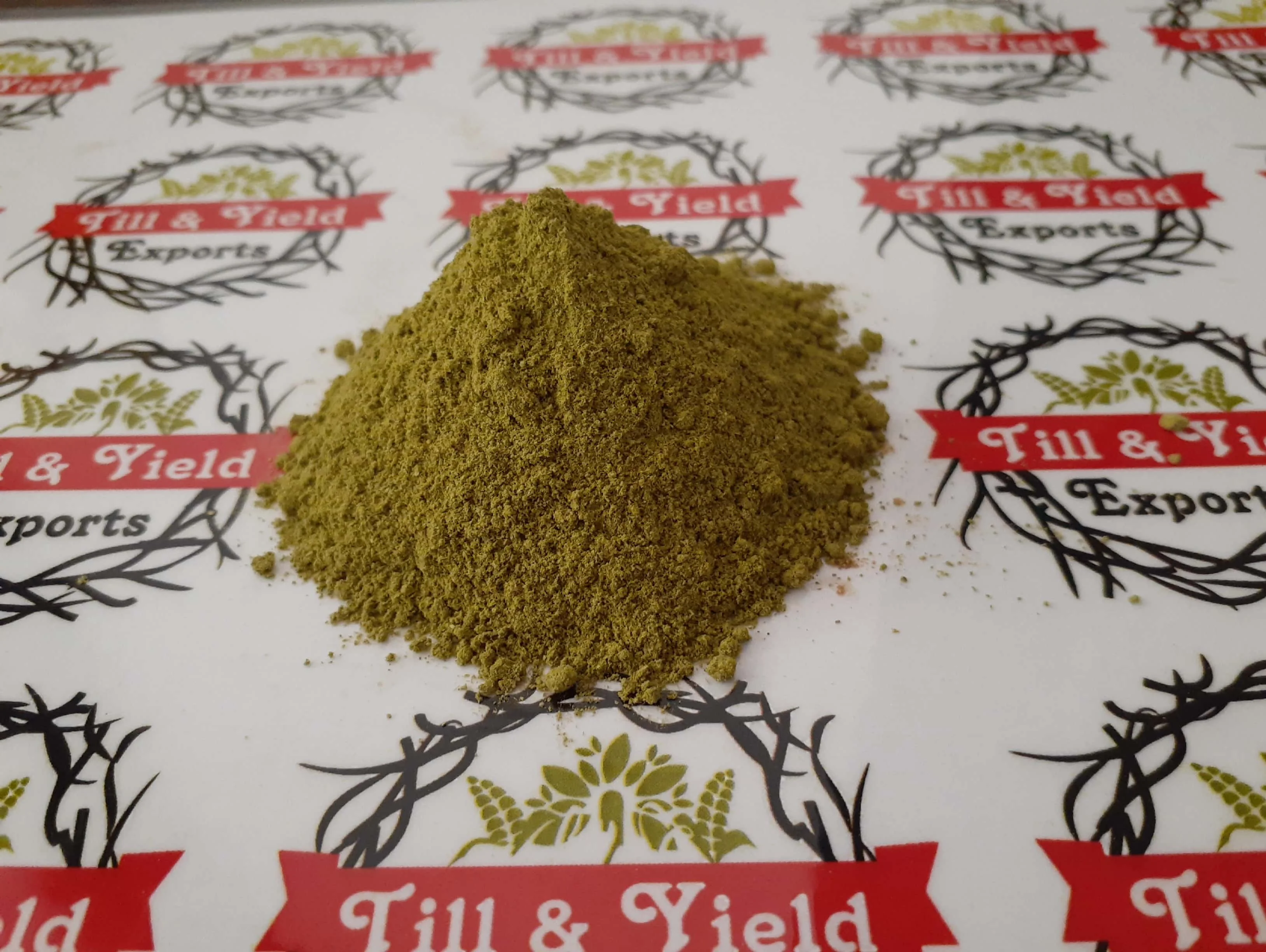 Cucumber Powder - Cucumis Sativum Powder Significant Increase In Several Markers Of Antioxidant