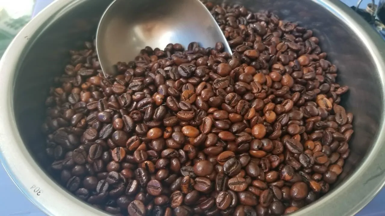 
Raw 98% Maturity Common Cultivation Type Hessian Sack Pack Pure 12.5% Max Moisture Coffee Bean 