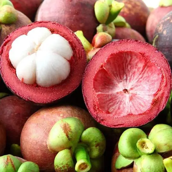 Mangosteen Fruit Succulent Flavor - Fresh Fruit Lowest Price 2021